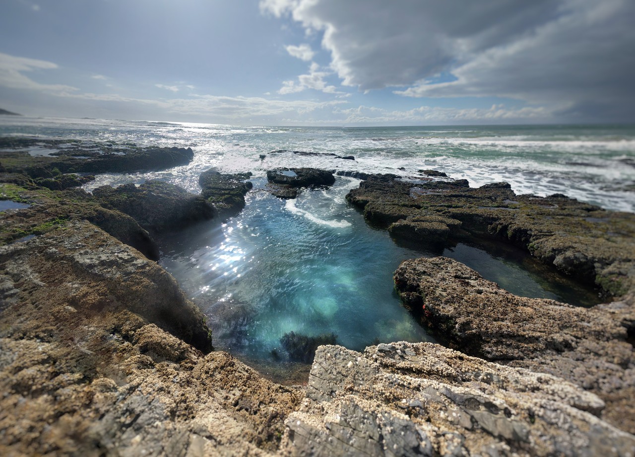Image of a rock pool