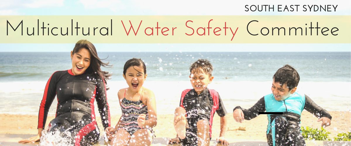SES Water Safety Committee banner