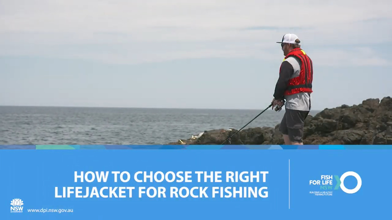 DPI rock fishing