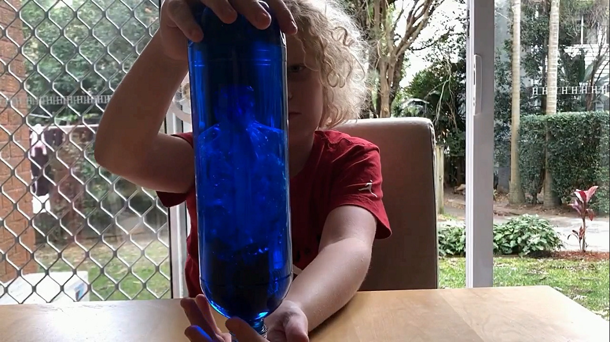 Jellyfish in a bottle