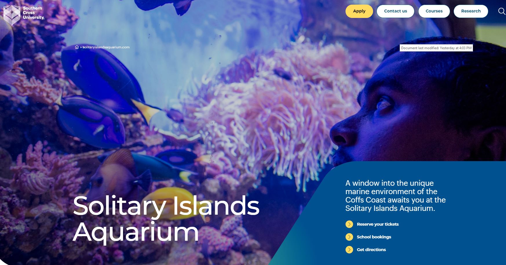 Solitray islands aquarium